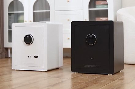 Deli ET630-ET635 ev kasa